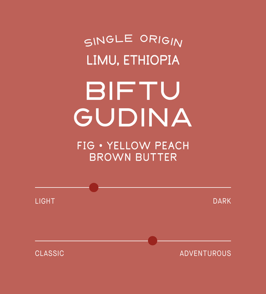 Ethiopia Biftu Gudina