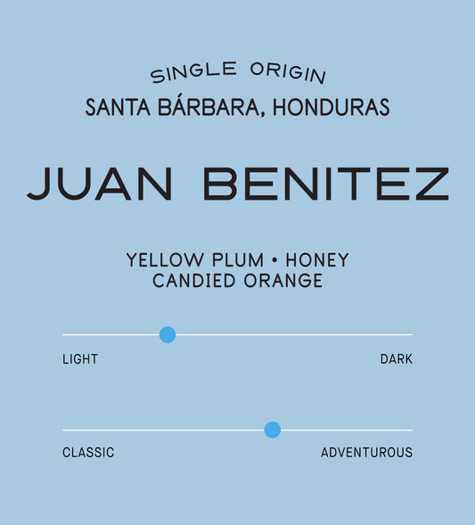 Verve Coffee Roasters - Juan Benitez - Scent Profile - Single Origin - Santa Barbara, Honduras - Tasting Notes: Yellow Plum, Honey, Candied Orange - Light + Adventurous