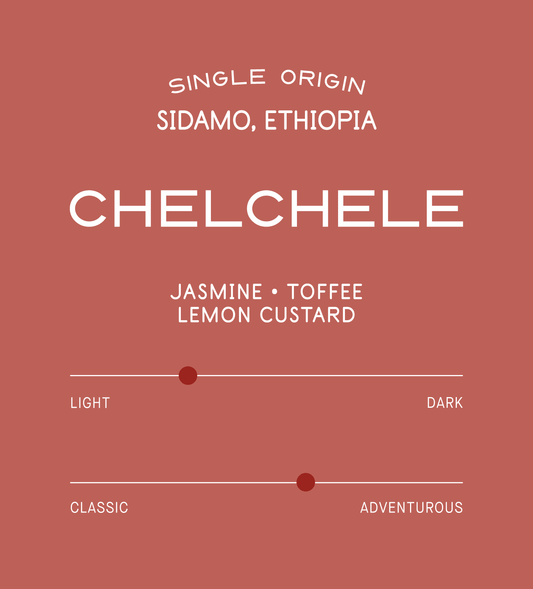 Verve Coffee Roasters - Chelchele - Scent Profile - Single Origin - Sidamo, Ethiopia - Tasting Notes: Jasmine, Toffee, Lemon Custard - Light + Adventurous