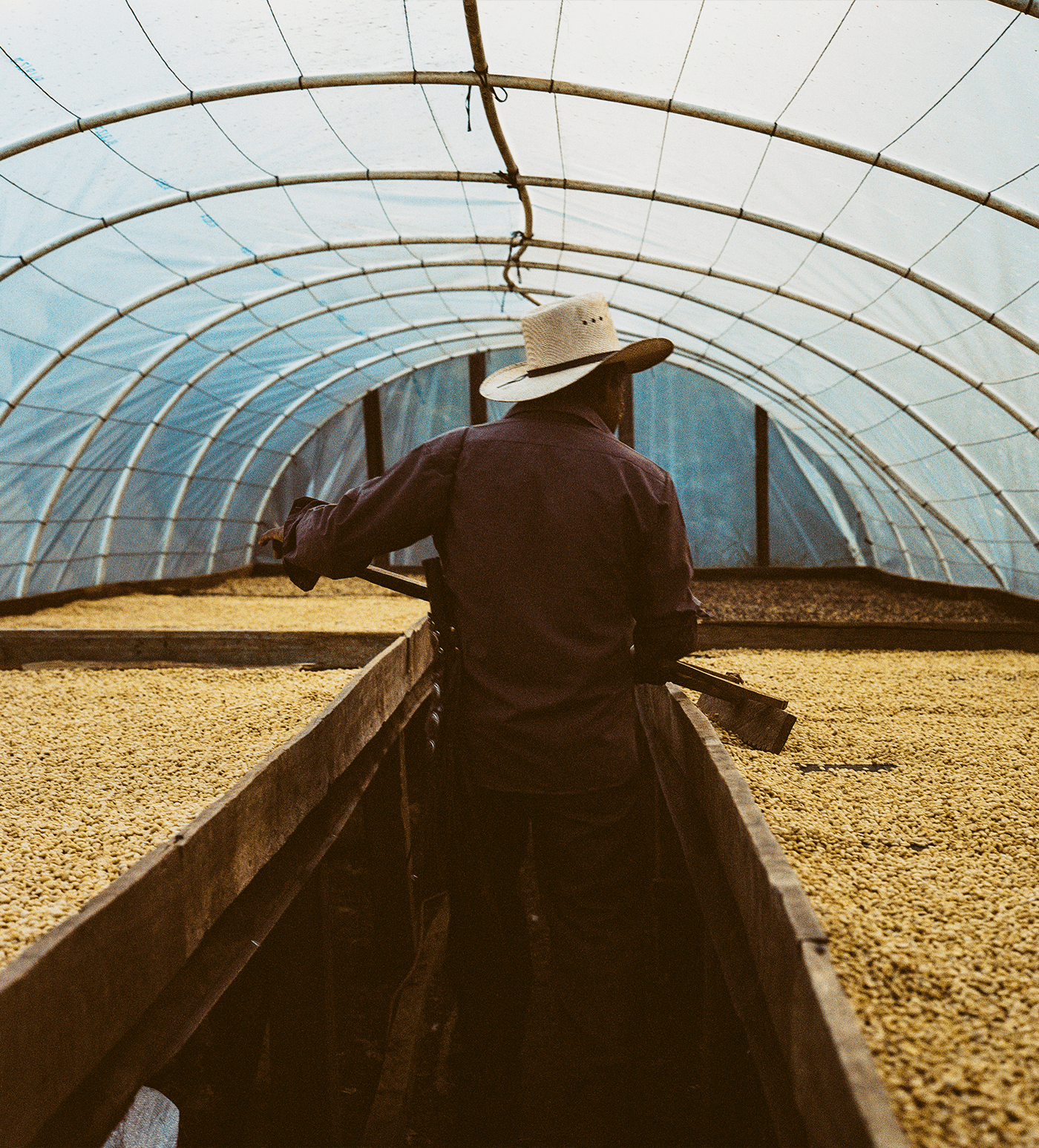 Verve Coffee Roasters - Juan Benitez - Producer Image