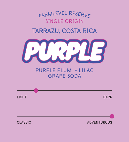 Verve Coffee Roasters - Sebastian Ramirez Purple Fruits Farmlevel Reserve - Scent Profile - Single Origin - Tarrazu, Costa Rica - Tasting Notes: Purple Plu,m, Lilac, Grape Soda - Light + Adventurous